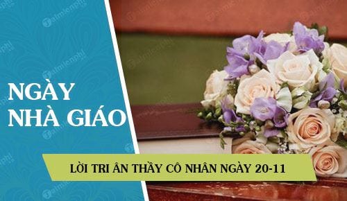 10 loi tri an thay co nhan ngay 20 11 hay nhat