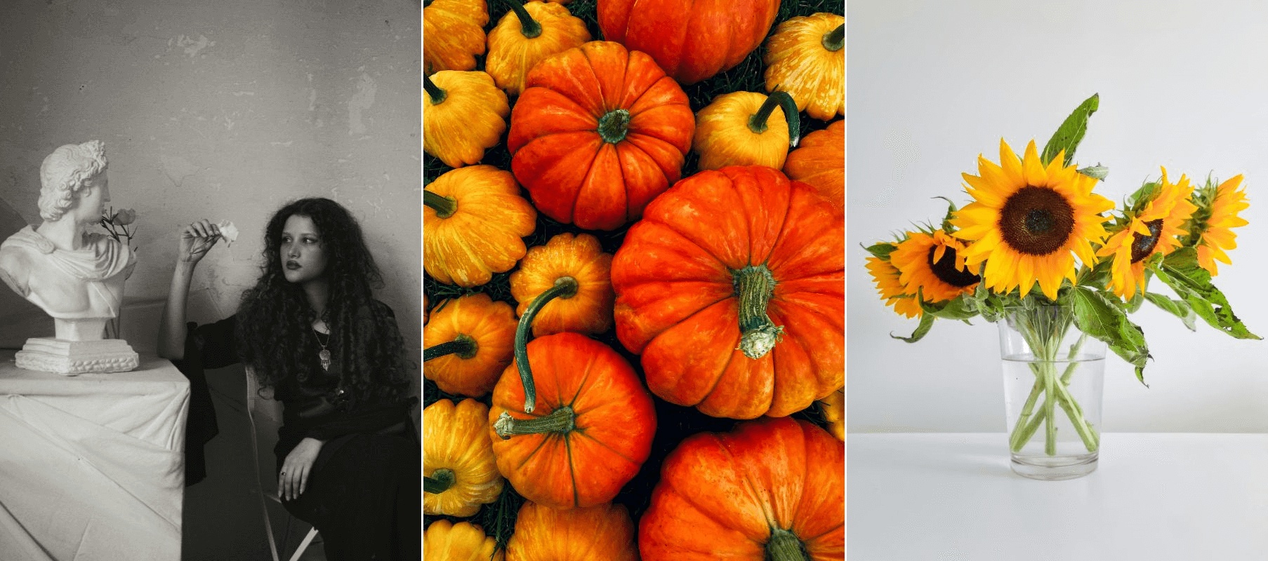 30+ câu lệnh chỉnh sửa ảnh bằng ChatGPT