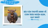 Bài văn thuyết minh về con trâu ngắn gọn, hay nhất