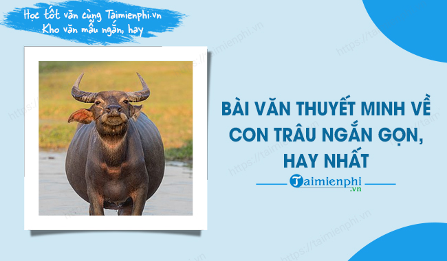 bai van thuyet minh ve con trau ngan gon hay nhat