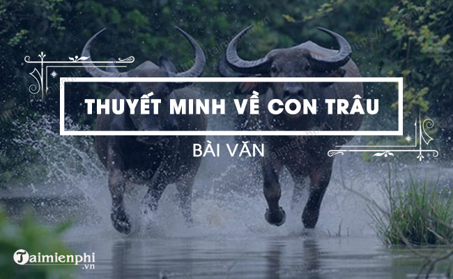 Van thuyet minh ve con trau lop 8