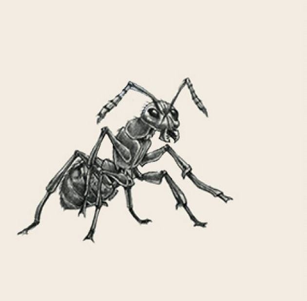 tranh dong vat 4d hinh con nhen