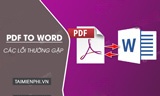  Các lỗi thường gặp khi chuyển file PDF sang Word 