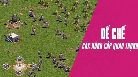 cac nang cap quan trong trong de che aoe