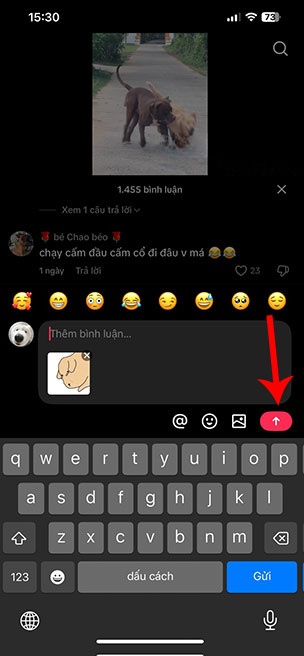 comment bang anh tren TikTok 3*521515