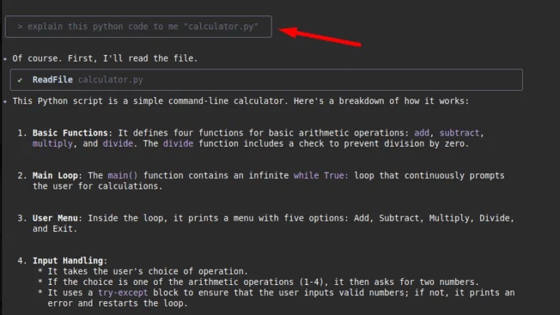 Giải thích file Python bằng Gemini CLI