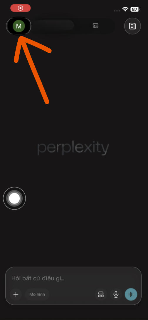 đổi mô hình bản đồ trong perplexity 