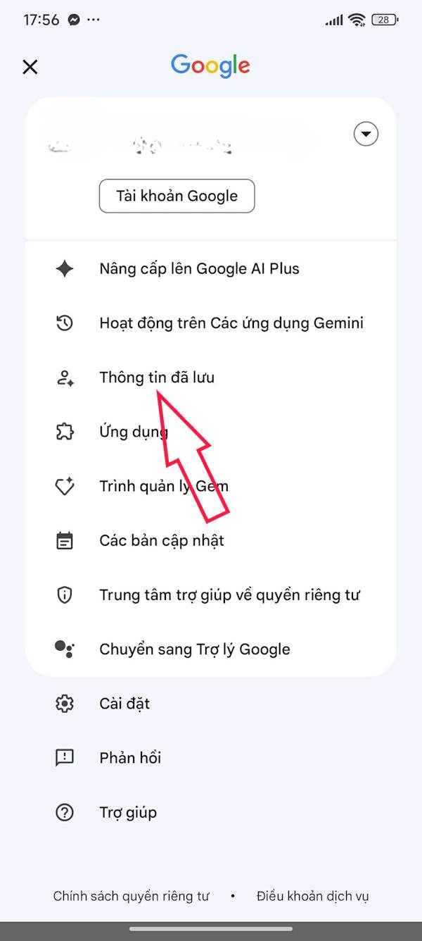 Thông tin Gemini đã lưu
