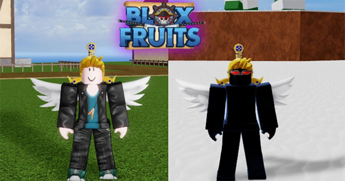  Cách nâng cấp Haki trong Blox Fruits 