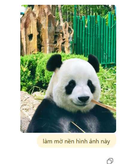 Làm mờ nền hình ảnh bằng Photoshop trong ChatGPT