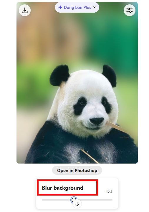 Mờ nền hình ảnh bằng Photoshop trong ChatGPT