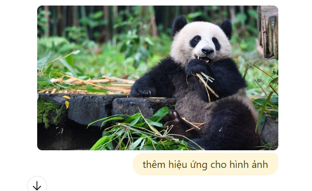 Thêm hiệu ứng ảnh bằng Photoshop trong ChatGPT