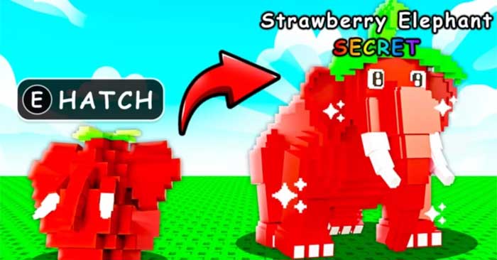  Code Build a Brainrot Farm mới nhất và cách đổi 