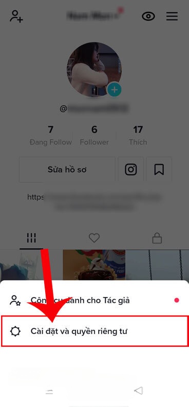 Chạm vào mục Cài đặt và quyền riêng tư