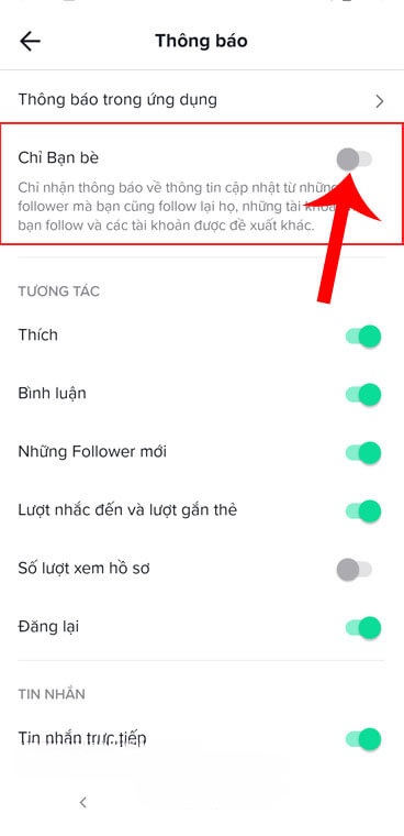 Bật công tắc tại mục Chỉ bạn bè