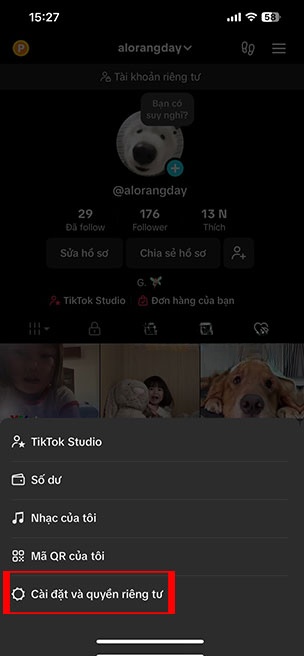 tat luu video TikTok 2*508715
