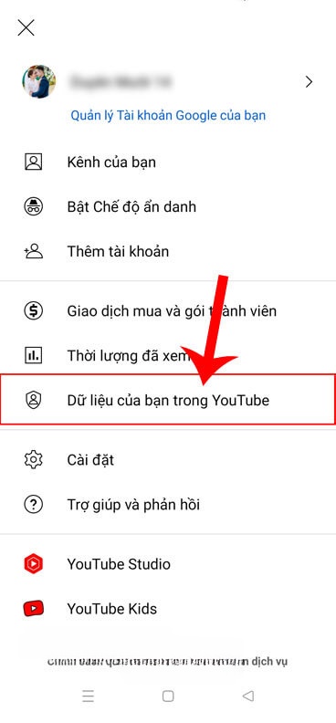 Chạm vào mục Dữ liệu của bạn trong YouTube