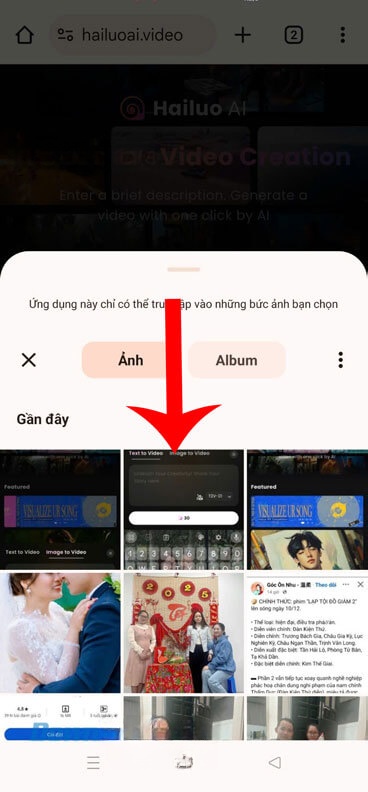 Chọn một bức ảnh bất kỳ