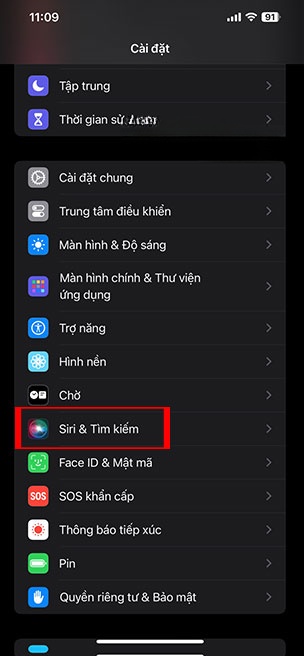 Siri iOS 17 1*435629
