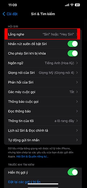 Siri iOS 17 2*435630