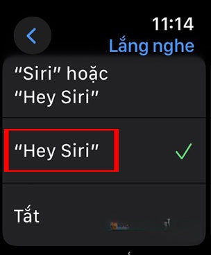 Siri iOS 17 6*435631