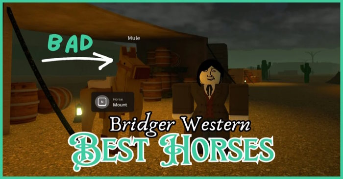 Bridger Western