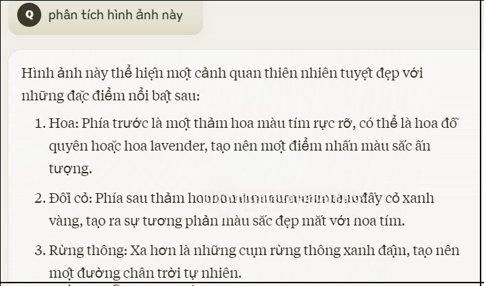 Phân tích hình ảnh trên Claude AI