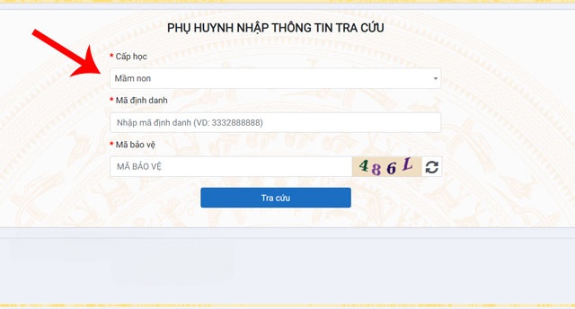 Nhập mã định danh và mã bảo vệ