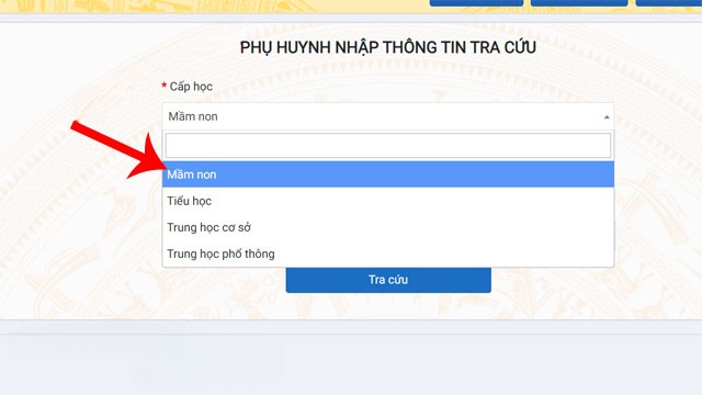 Lựa chọn cấp học Trung học cơ sở