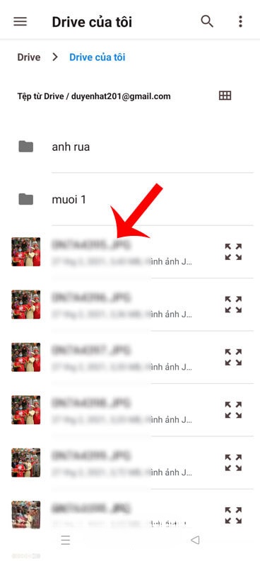 Chọn file dữ liệu