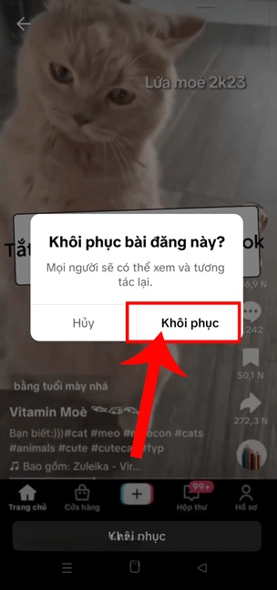 Tiếp tục, chạm vào nút Khôi phục