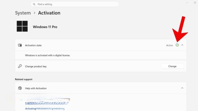 Tại mục Activation state sẽ hiển thị thông báo Active