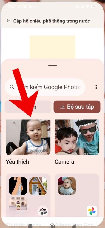 Lựa chọn ảnh chân dung (theo đúng quy định khi làm hộ chiếu)