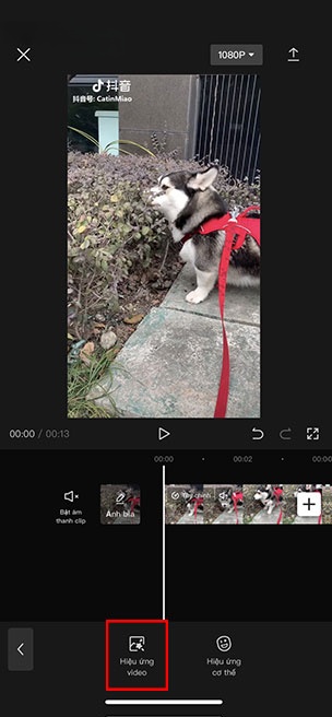 capcut blur 4*351734