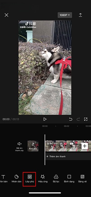 capcut blur 7*351739