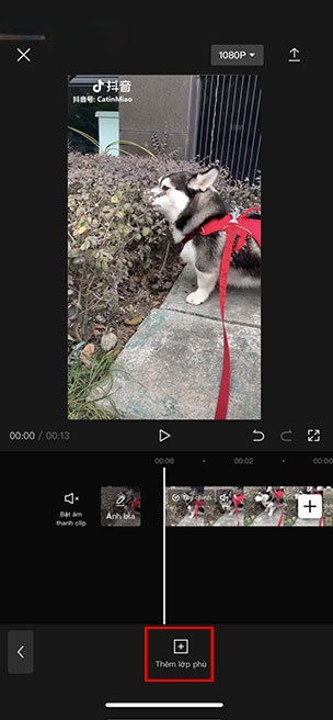capcut blur 8*351738