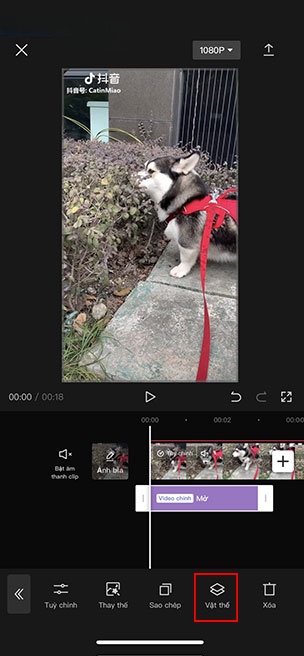 capcut blur 9*351741