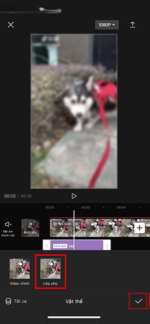 capcut blur 10*351740