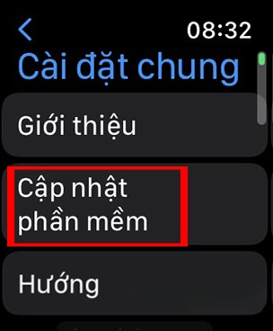 watchos 9 8*380079