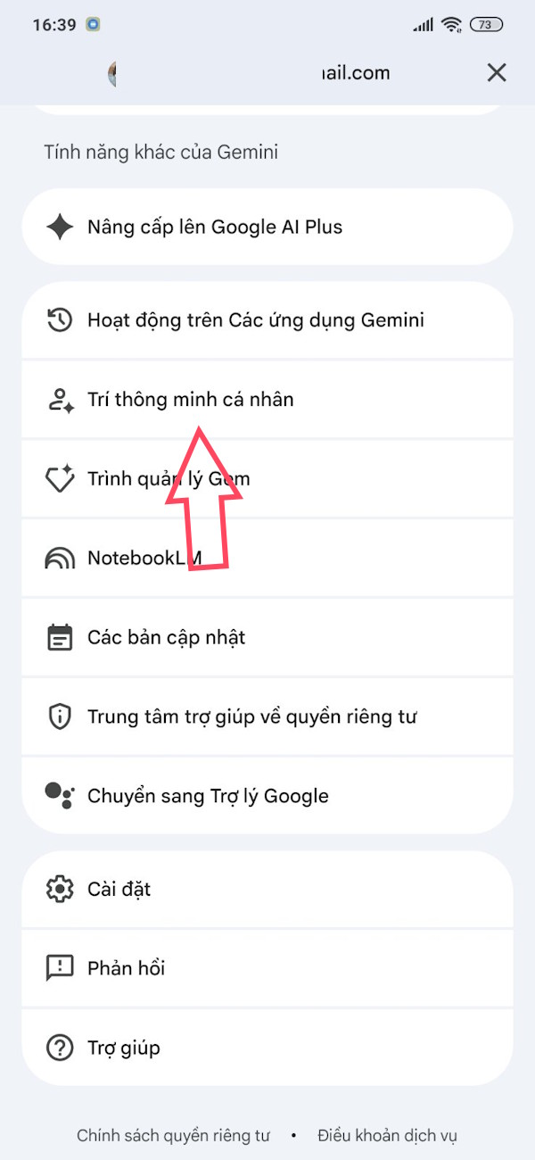 Trí thông minh trên Gemini