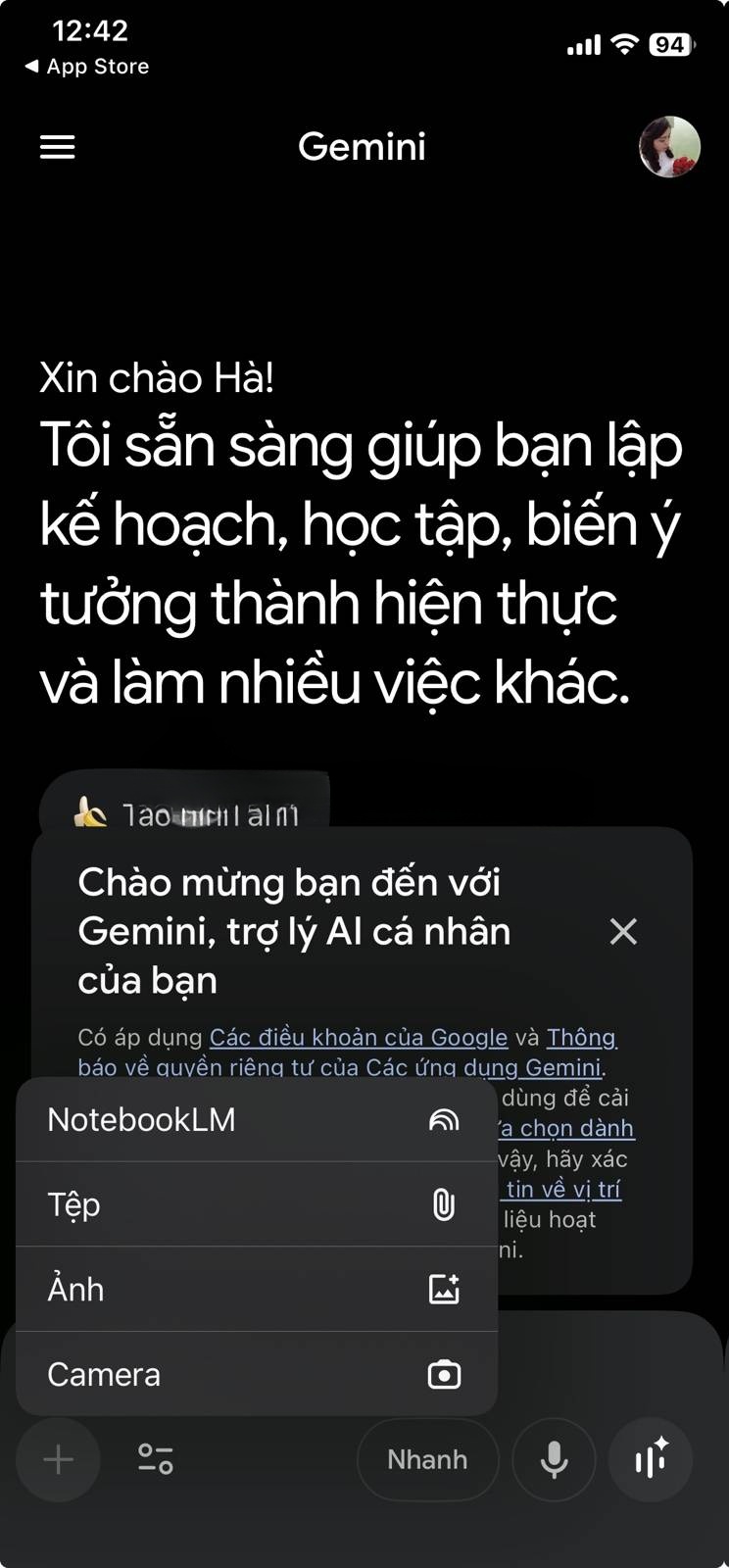 Nhiều nguồn upload ảnh lên Gemini: Tệp, Ảnh, Camera, NotebookLM.