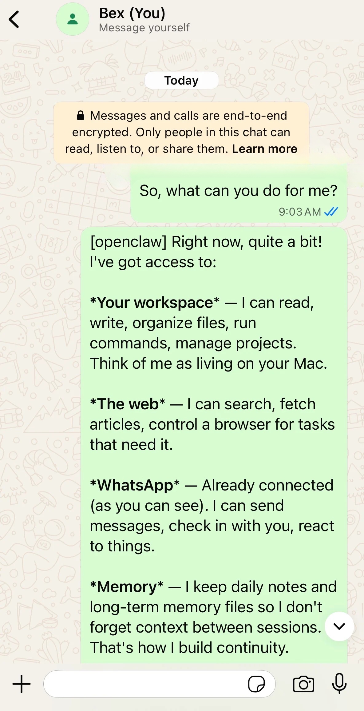 Phản hồi WhatsApp của OpenClaw