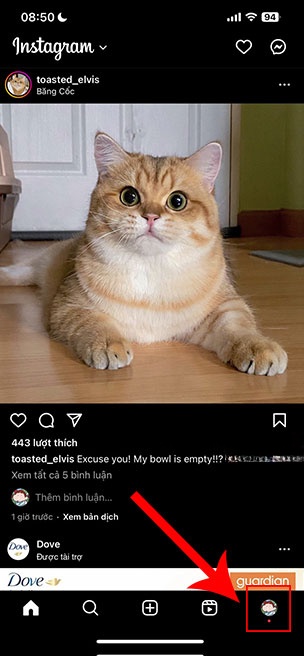  Hướng dẫn thay đổi cài đặt Instagram để xem nội dung nhạy cảm 