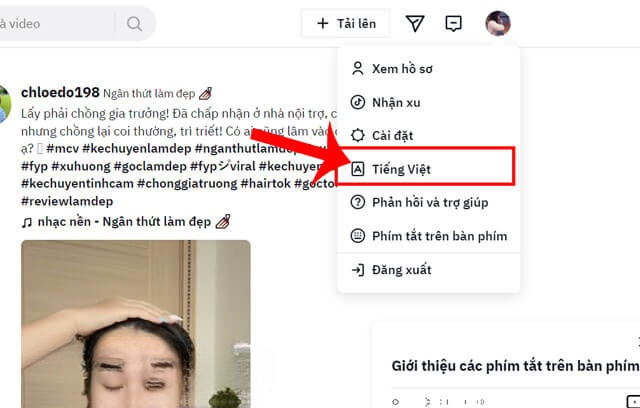 Nhấn vào mục Tiếng Việt