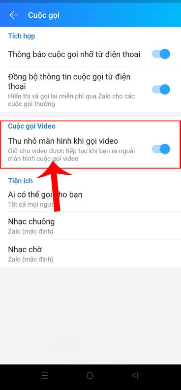 Bật công tắc tại mục Thu nhỏ màn hình khi gọi video