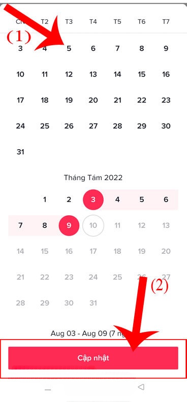 Chọn ngày bắt đầu và kết thúc > Ấn vào nút Cập nhật