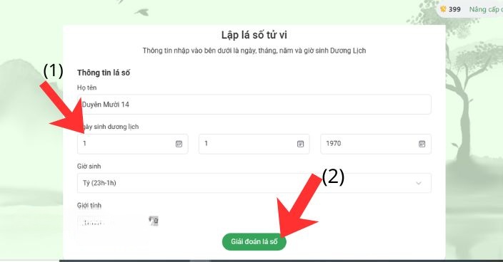 Nhập đầy đủ thông tin: Ngày/Tháng/Năm sinh, Giờ sinh, Giới tính > Click chuột vào nút Giải đoán lá số