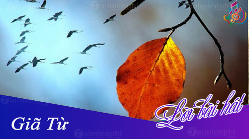 loi bai hat gia tu