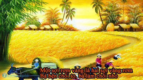 loi bai hat mot soi rom vang 2