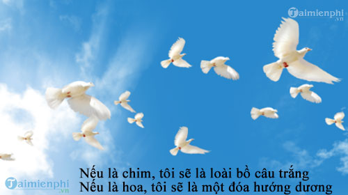 loi bai hat tu nguyen 2